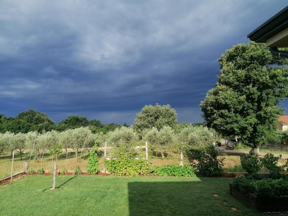 Ferienresidenz Lavandula Nova Vas  외부 사진